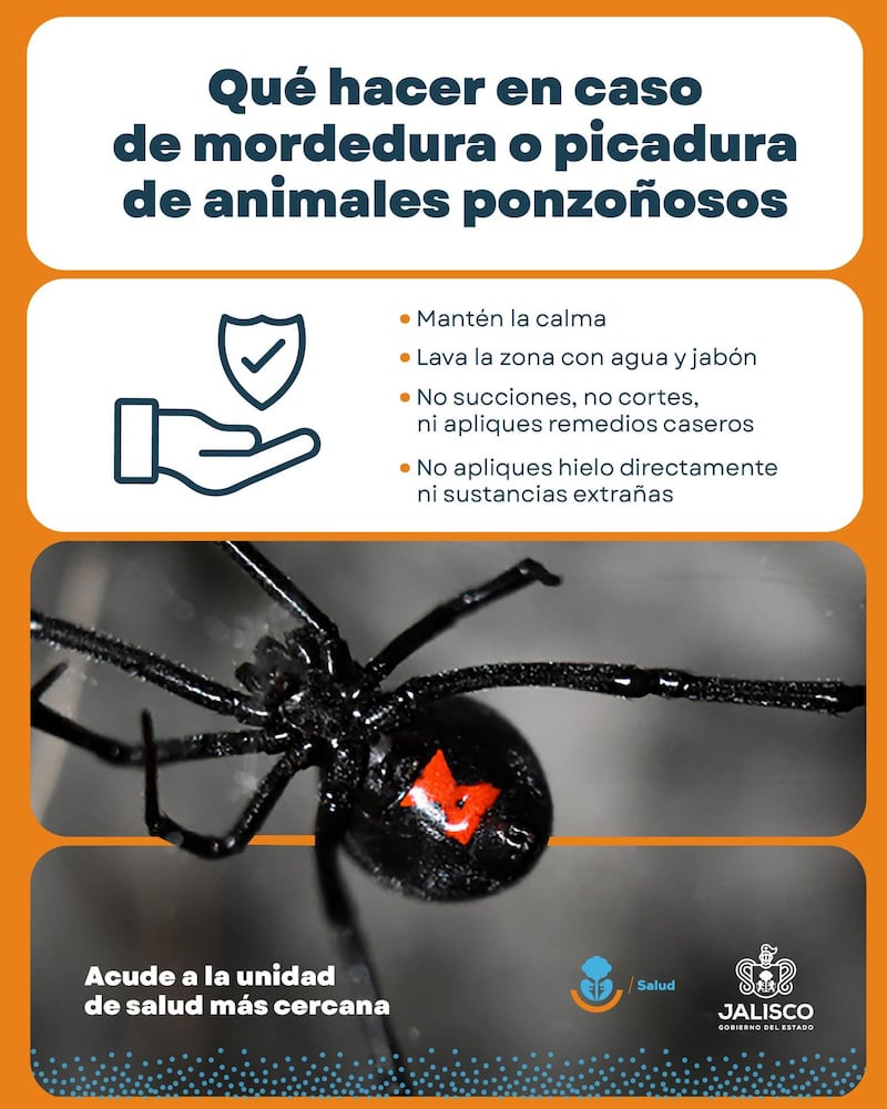 SECRETARÍA DE SALUD JALISCO (SSJ)