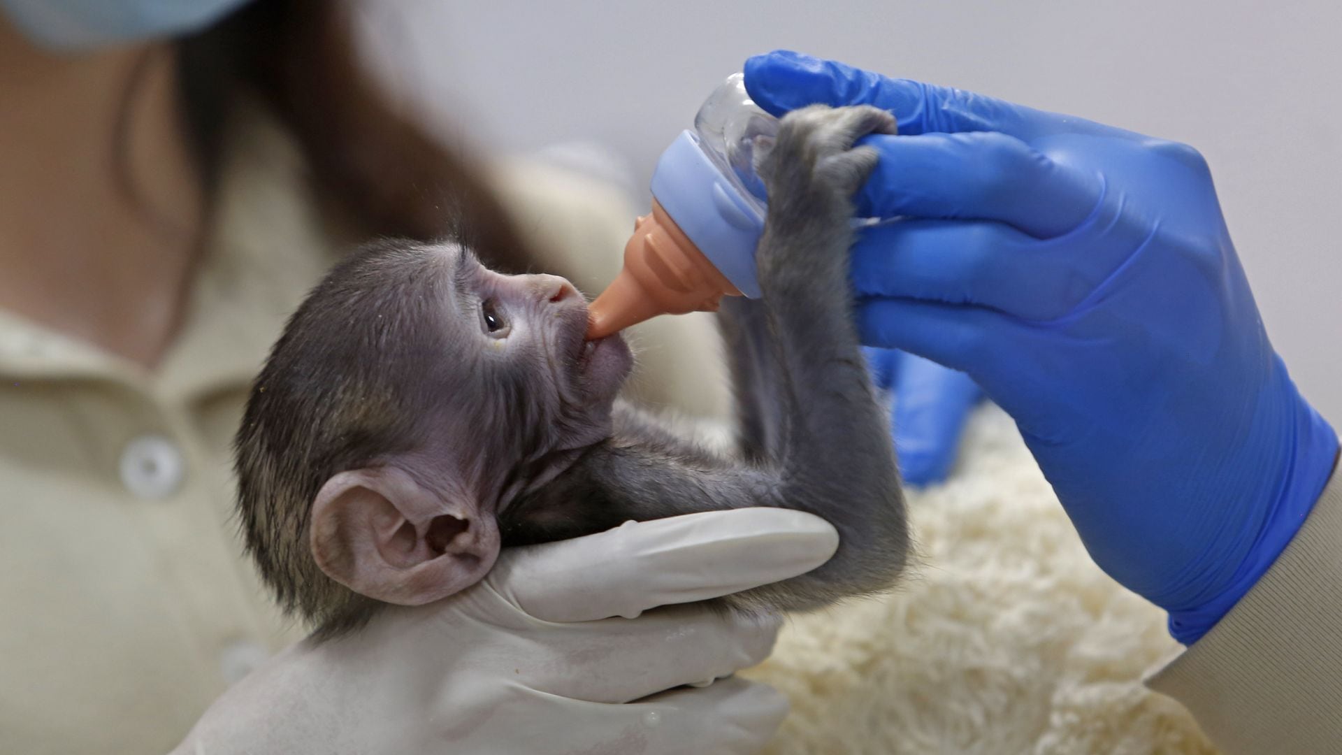 CUARTOSCURO/ FERNANDO CARRANZA GARCIA