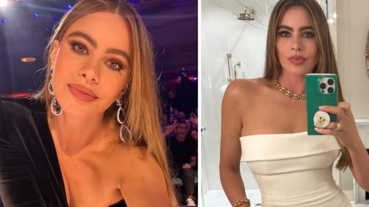 Sofía Vergara looks