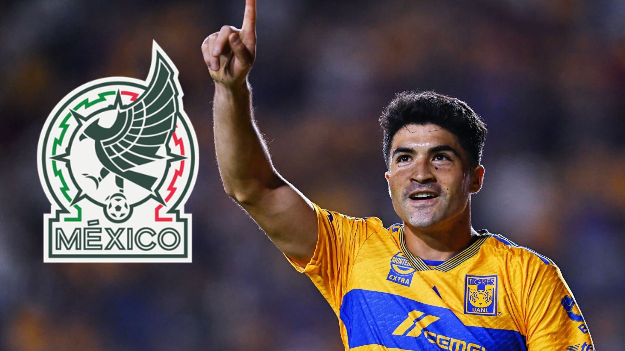 Nicolás Ibáñez mexicano