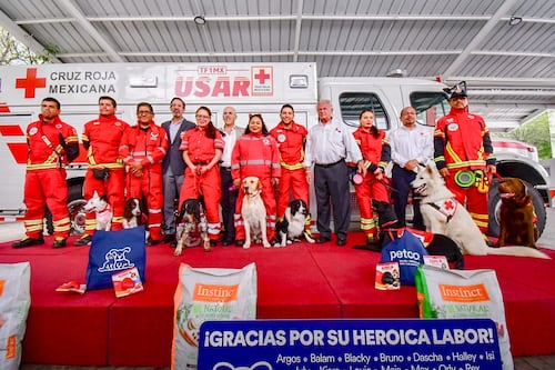 Cruz Roja Mexicana  tendrá escuela para entrenar perros en búsqueda y rescate