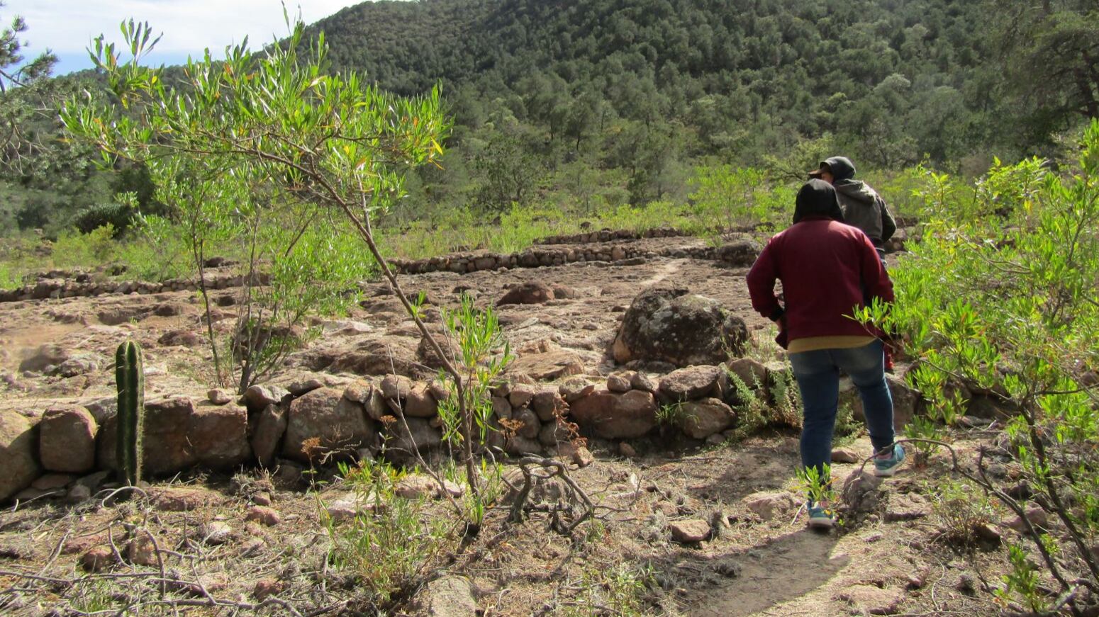 Para proteger la biodiversidad.