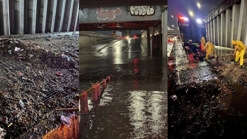 Lluvias en León dejan 69 vehículos varados y afectan 50 viviendas