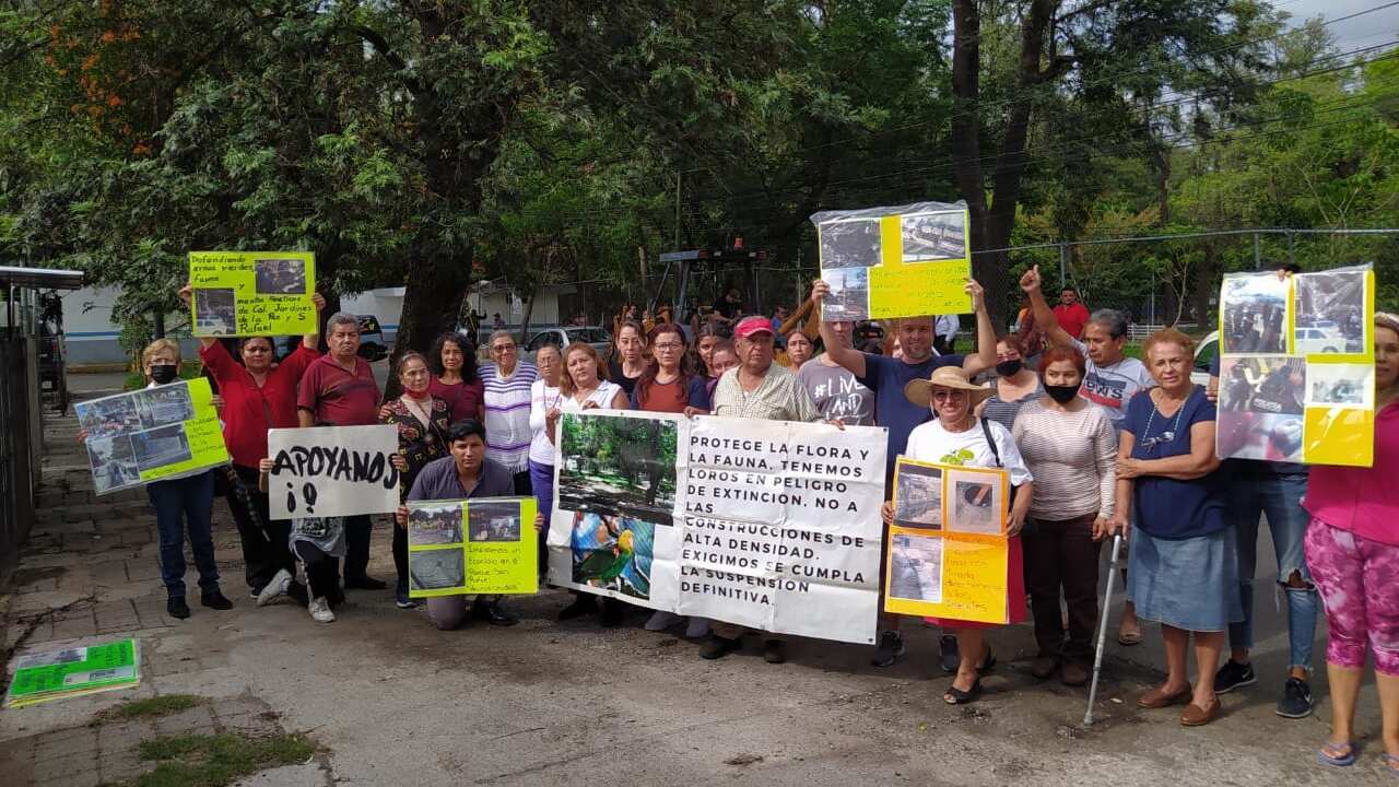 Los vecinos denuncian que inició la destrucción del arbolado para la construcción del colector.