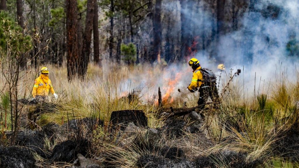 Incendios forestales