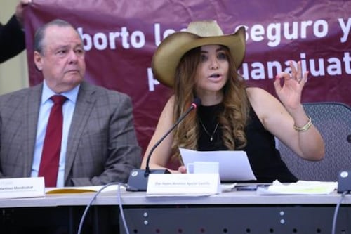 Proponen diputadas de Morena reformas para garantizar la interrupción legal del embarazo en Guanajuato