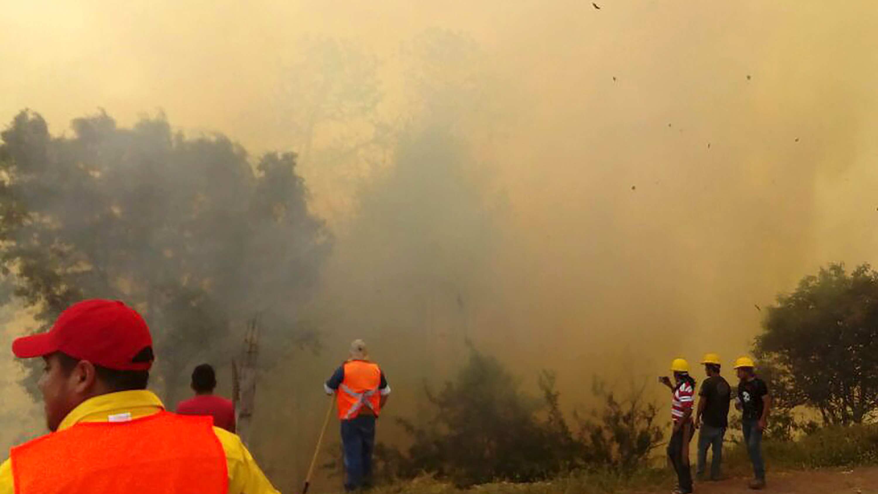 FOTO: Agencia Enfoque
