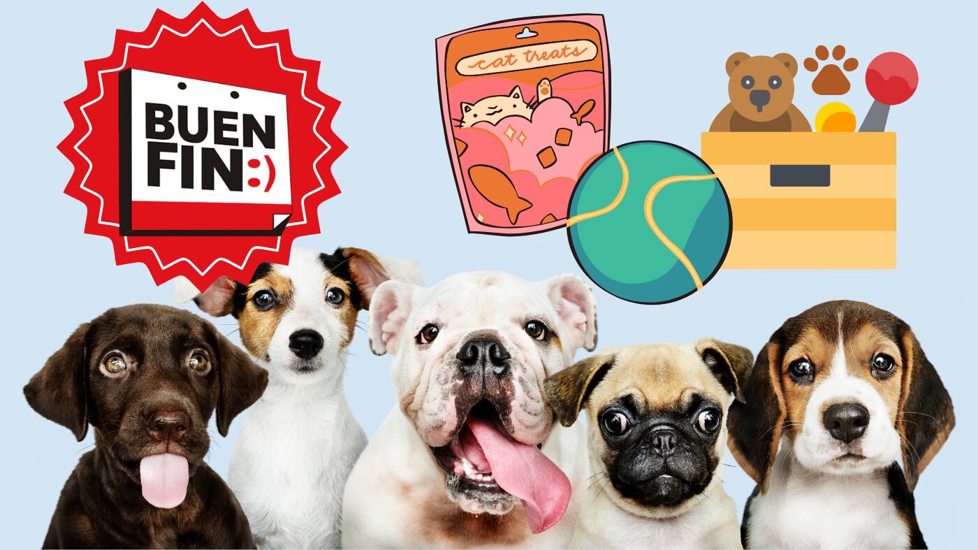 FREEPIK/ GROUP PORTRAIT OF ADORABLE PUPPIES/ CANVA