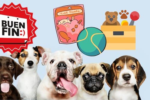 ¡Accesorios imperdibles para mascotas este Buen Fin!