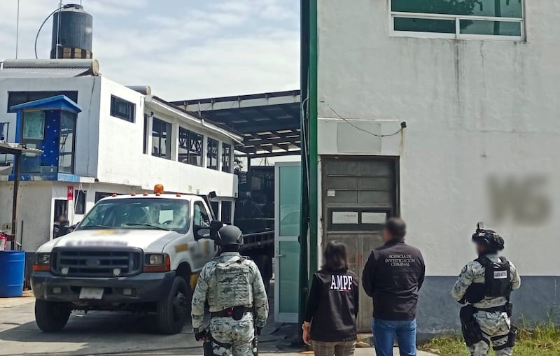 FGR destruye precursores químicos y drogas aseguradas en Michoacán