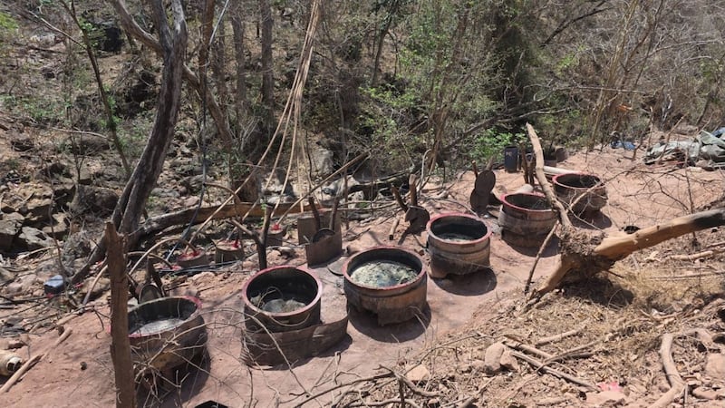 Decomisan más de 4 toneladas de metanfetamina en Sinaloa; destruyen tres laboratorios clandestinos