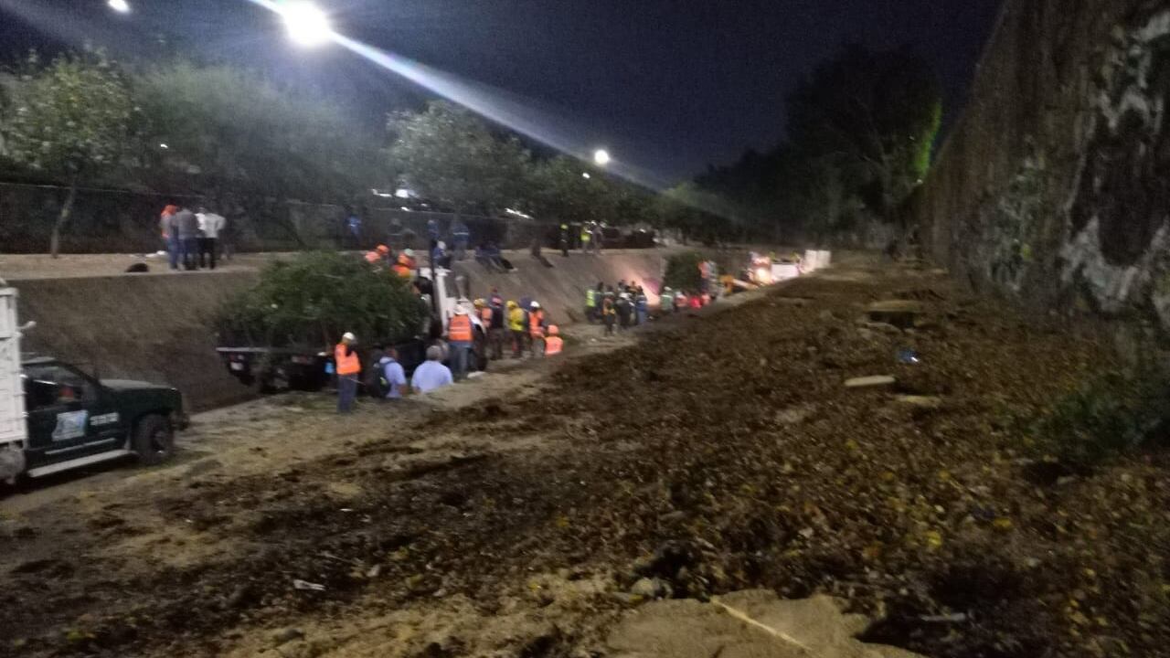 Tala de árboles en Malecón del río, en León, Guanajuato. (Cortesía)