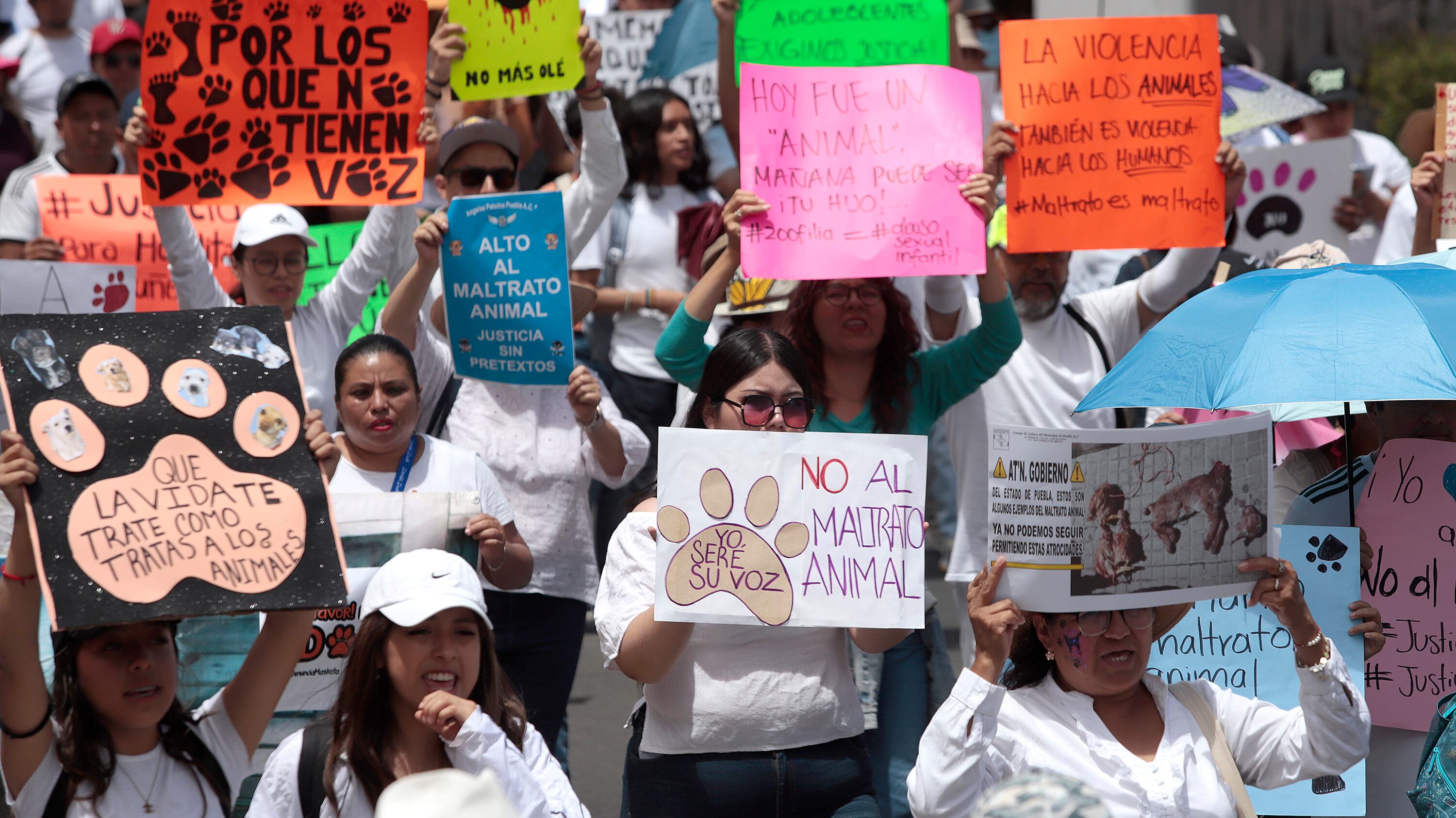 FOTO: Mireya Novo/Agencia Enfoque