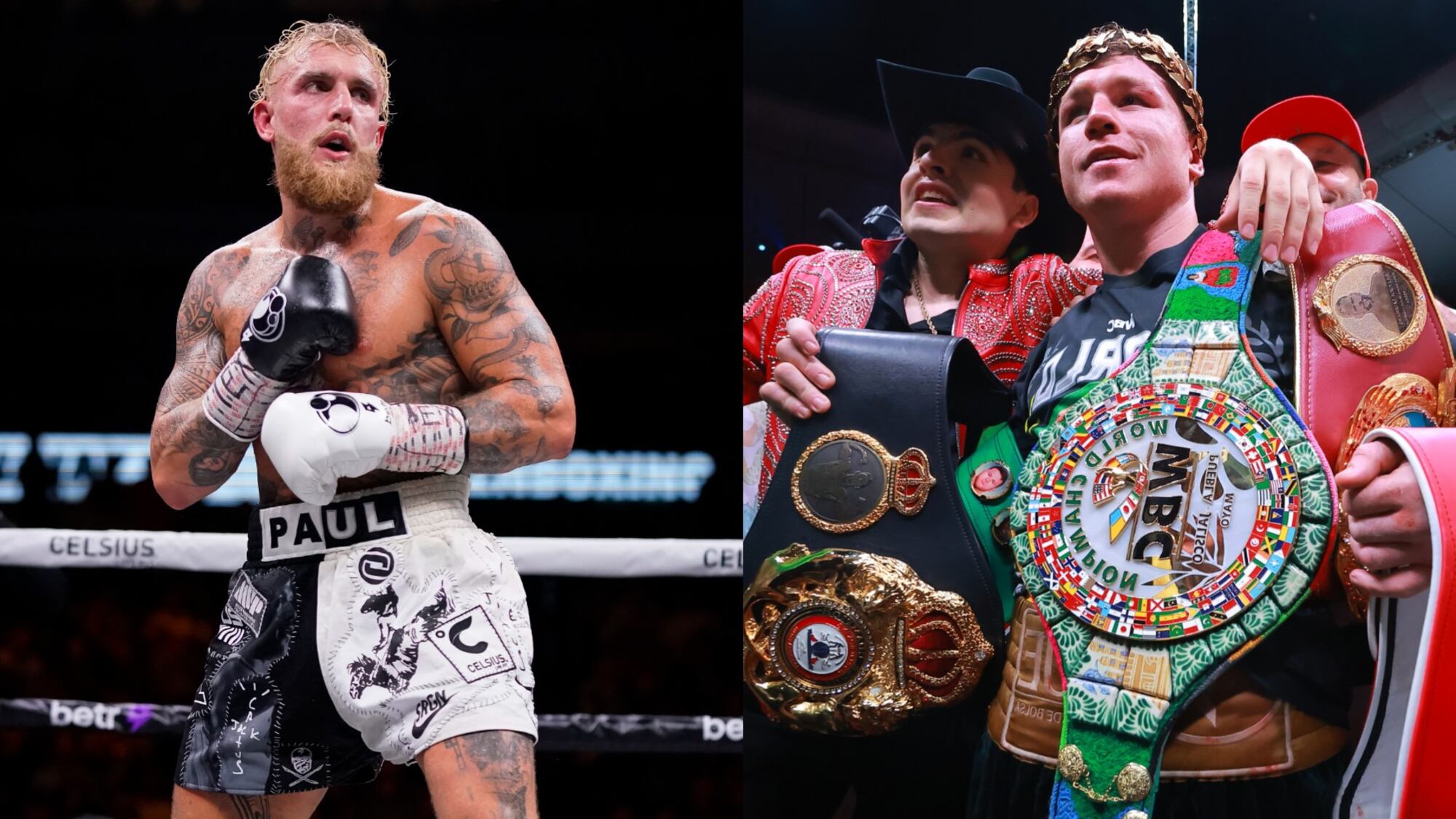 Jake vs Canelo