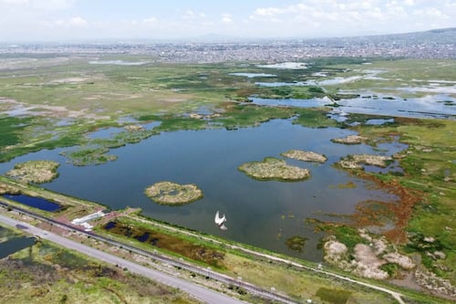 SCJN declara Área Natural Protegida al Lago de Texcoco y valida decreto ambiental