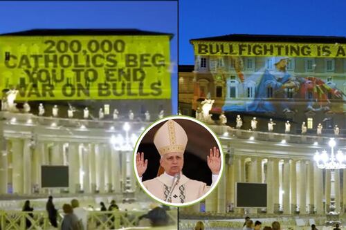 Proyectan video gigante en el Vaticano en protesta contra de las corridas de toros - Video