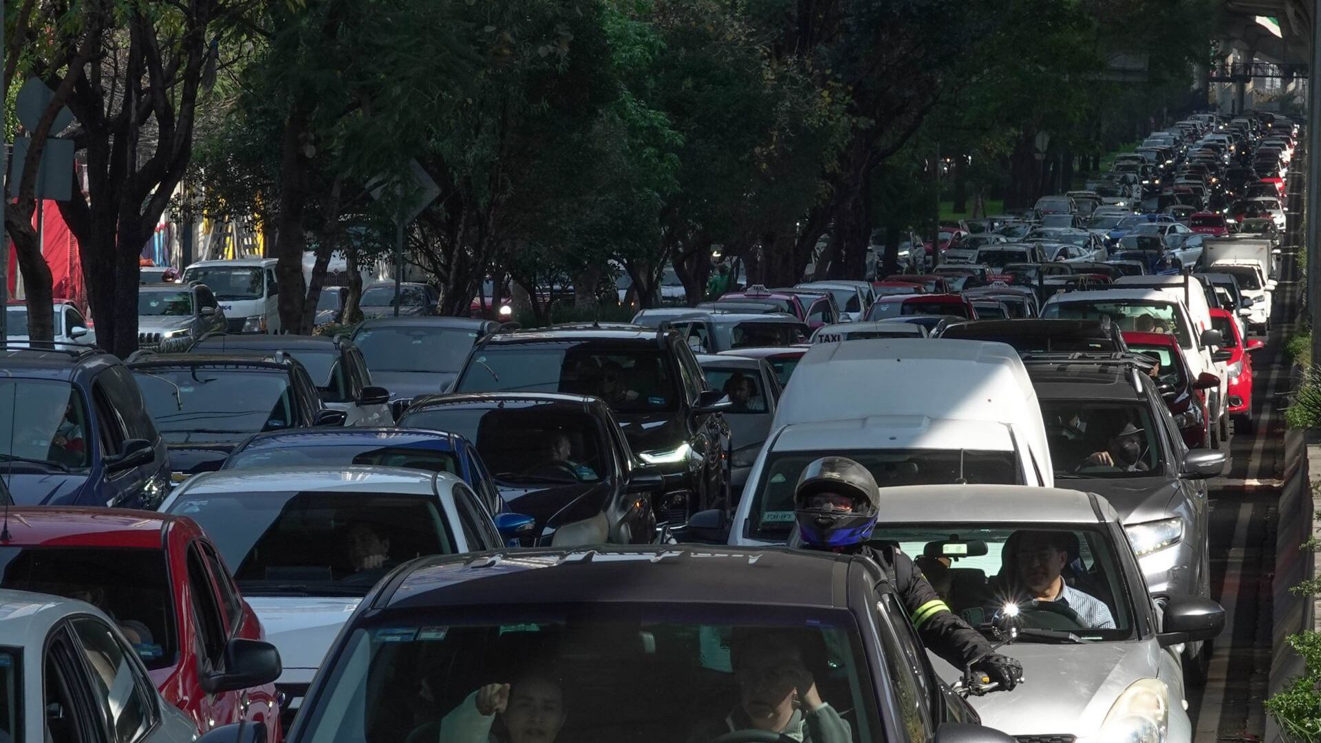 Hoy no Circula del miércoles 15 de enero 2025 en CDMX y Edomex