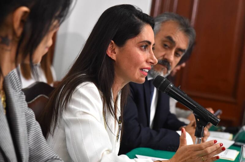 Adriana Greaves presenta su propuesta de plan de trabajo para la Fiscalía Anticorrupción