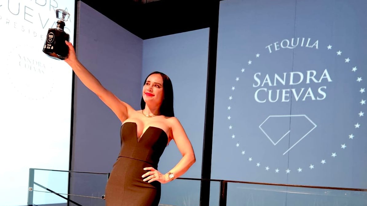 La exalcaldesa enfrenta señalamientos por presunta relación con grupos delictivos y posibles irregularidades en sus negocios