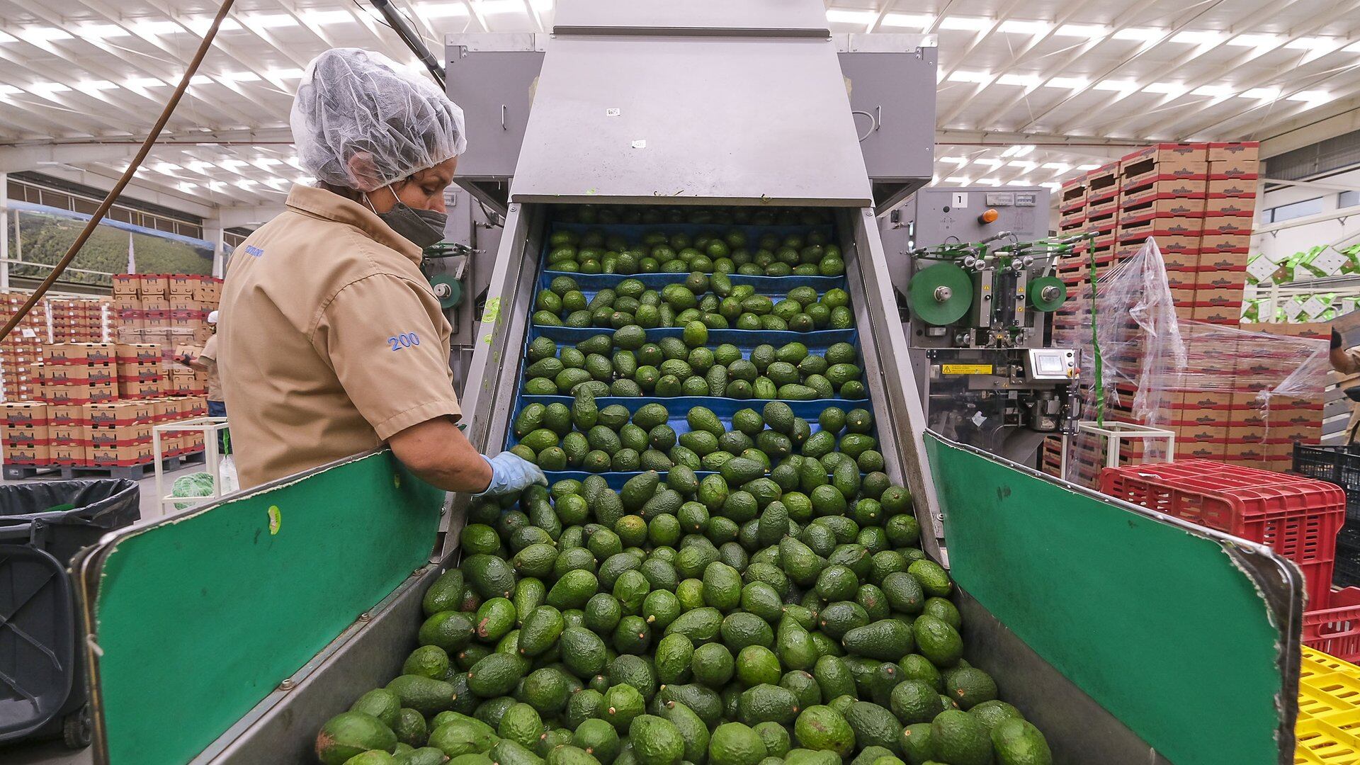 Jalisco mantiene liderazgo en generación de empleos.