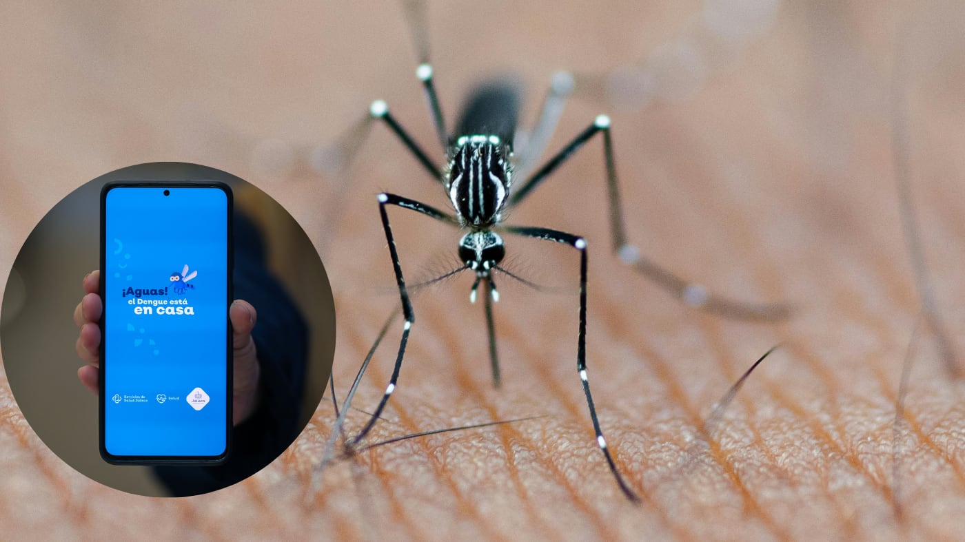 IMAGEN ILUSTRATIVA/ ESPECIAL/ CANVA/ SSJ