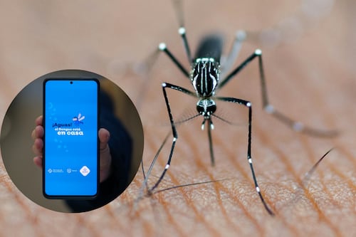 Conoce “Sin Dengue”, la app con la que puedes reportar criaderos transmisores