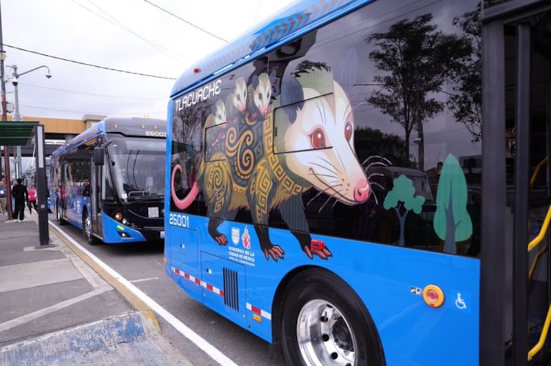 CDMX Trolebús Animales Silvestres