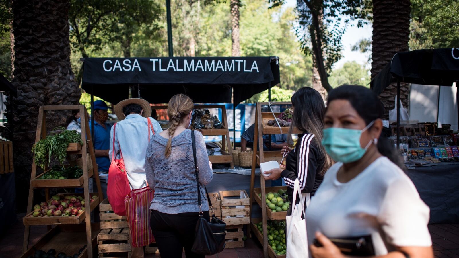 Café es el rey de los productos orgánicos cultivados en México, seguido del maíz y el ajonjolí; pero la superficie de cultivo total apenas alcanza 0.70% del total nacional.