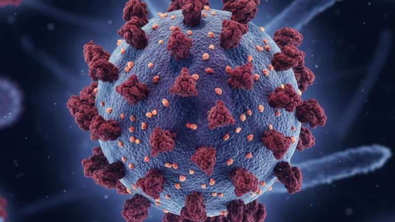 ¿Confirman segundo muerto en CDMX por sarampión? Las cifras de contagios van en aumento en México