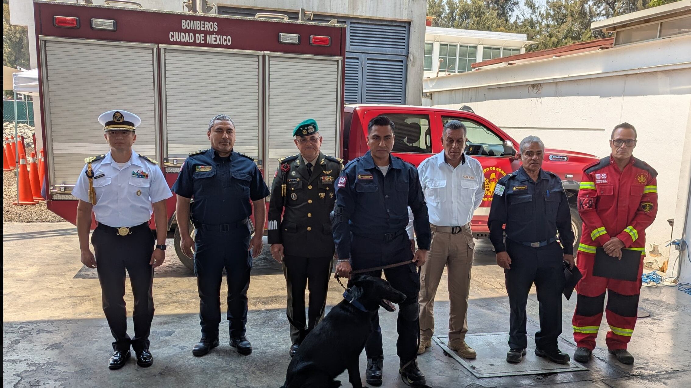 Togo, pastor alemán