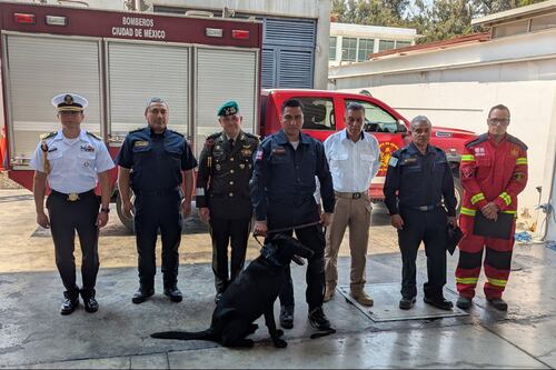 Togo, el nuevo héroe de cuatro patas del Cuerpo de Bomberos de la CDMX