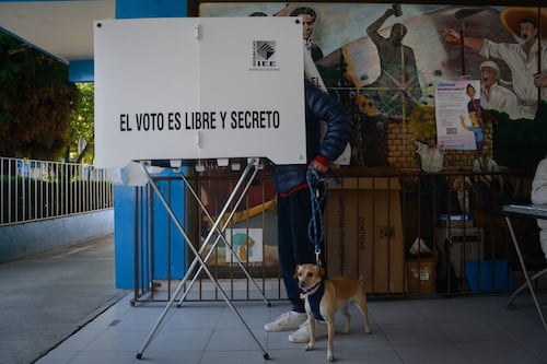 “Elecciones transcurren sin violencia ni coerción”, asegura Presidencia