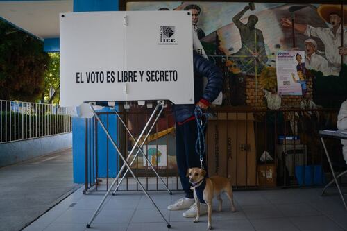 “Elecciones transcurren sin violencia ni coerción”, asegura Presidencia