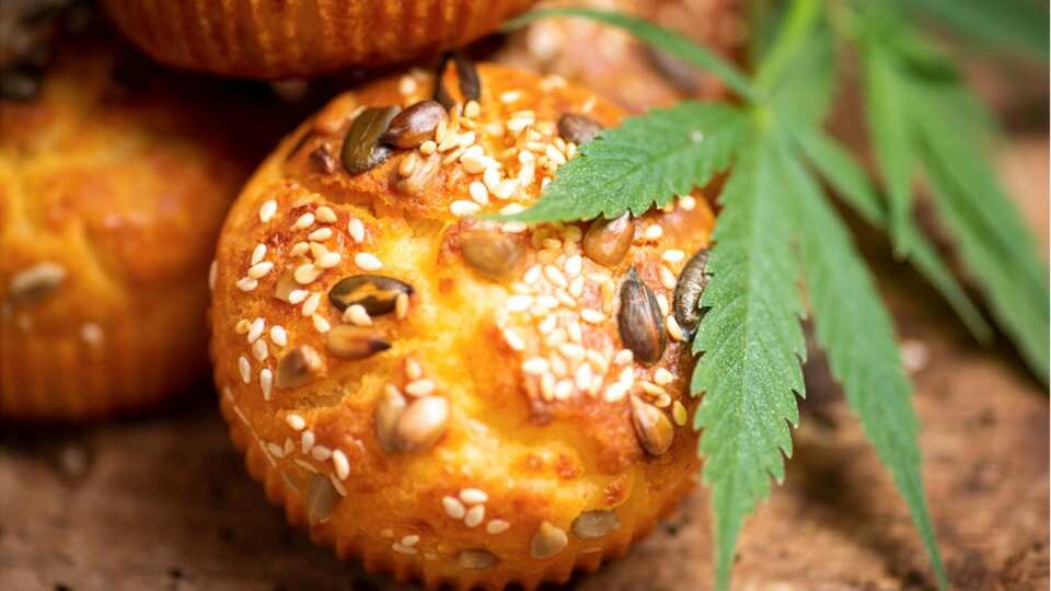 Estudiantes de secundaria consumen brownies de marihuana y terminan en el hospital