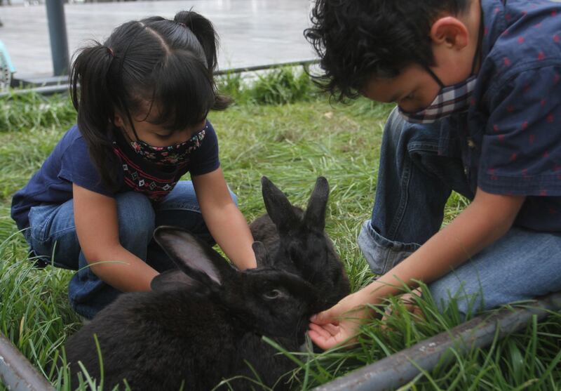 Existen lagunas legales que entorpecen las adopciones de niños en el país.