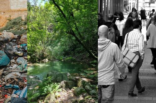 Ecología de la mente