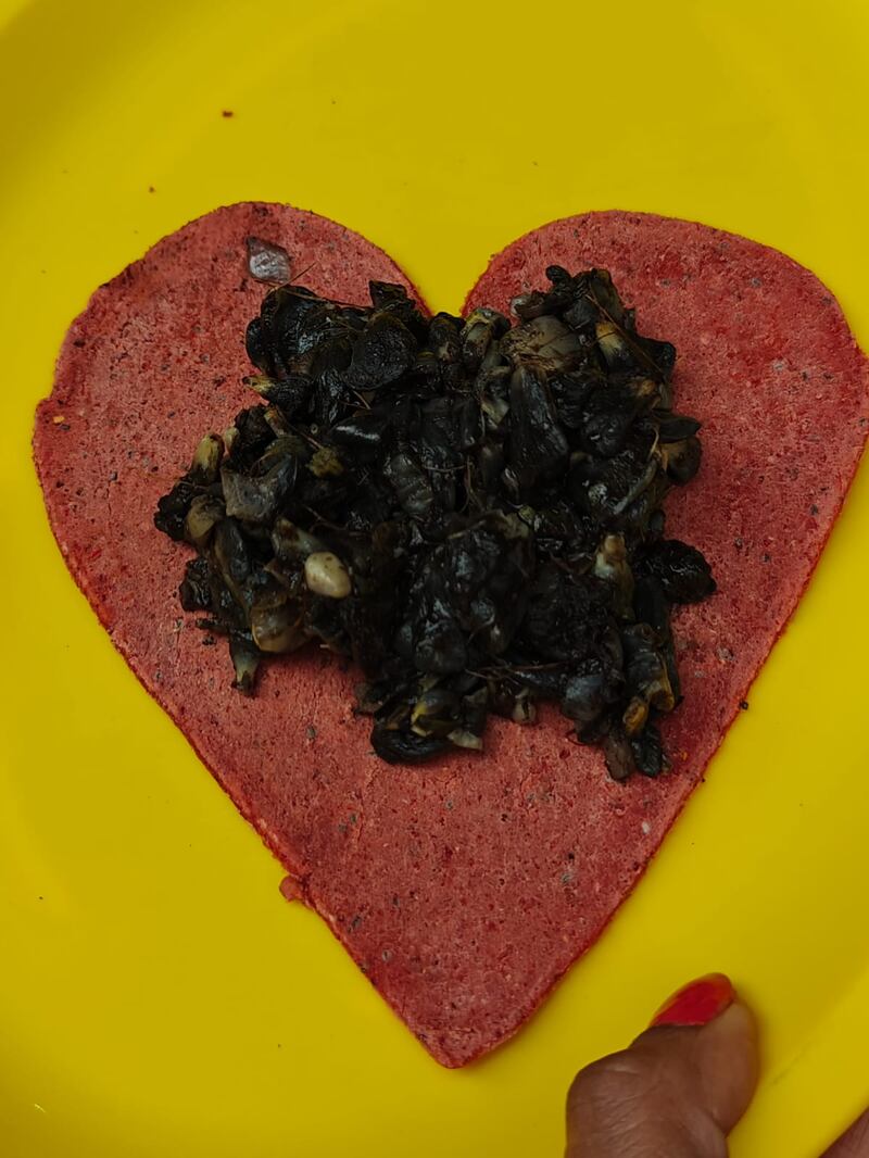 Si estás en la CDMX y se te antoja algo rico y diferente, tienes que conocer estos tres spots gastronómicos recomendados por DiDi Food