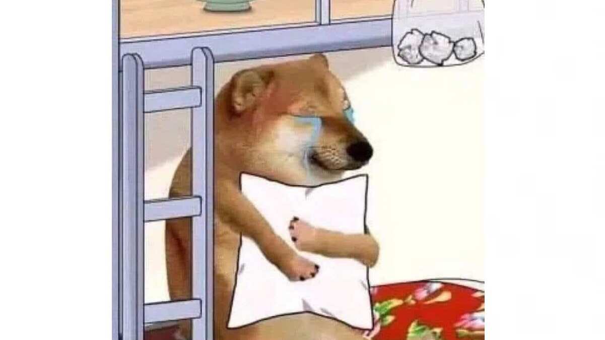 Los mejores memes del sismo del 22 de septiembre.