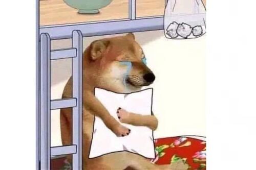 Lo toman con gracia: Estos son los mejores memes por los sismos de septiembre