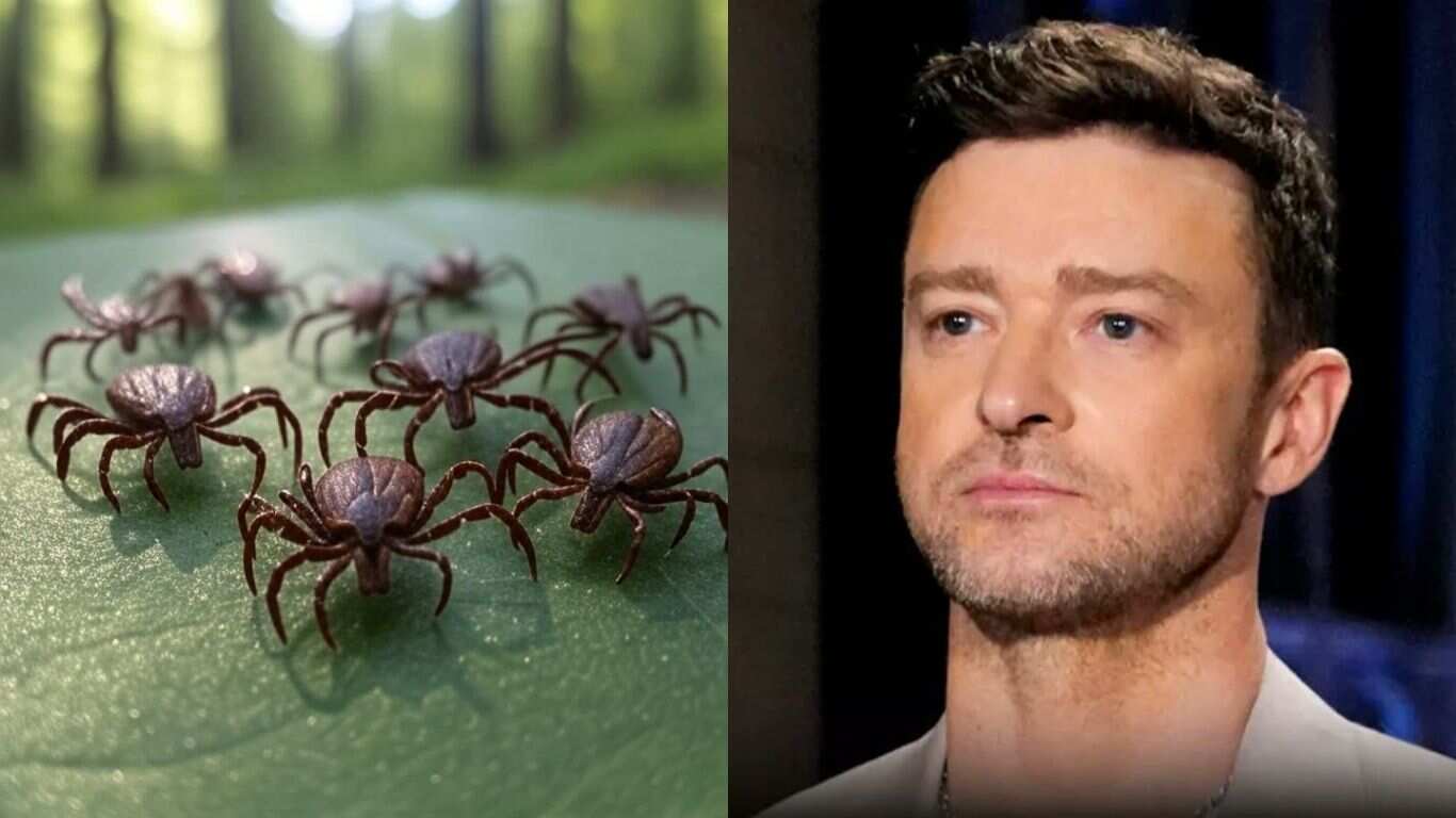 Garrapatas provocan enfermedad de Justin Timberlake