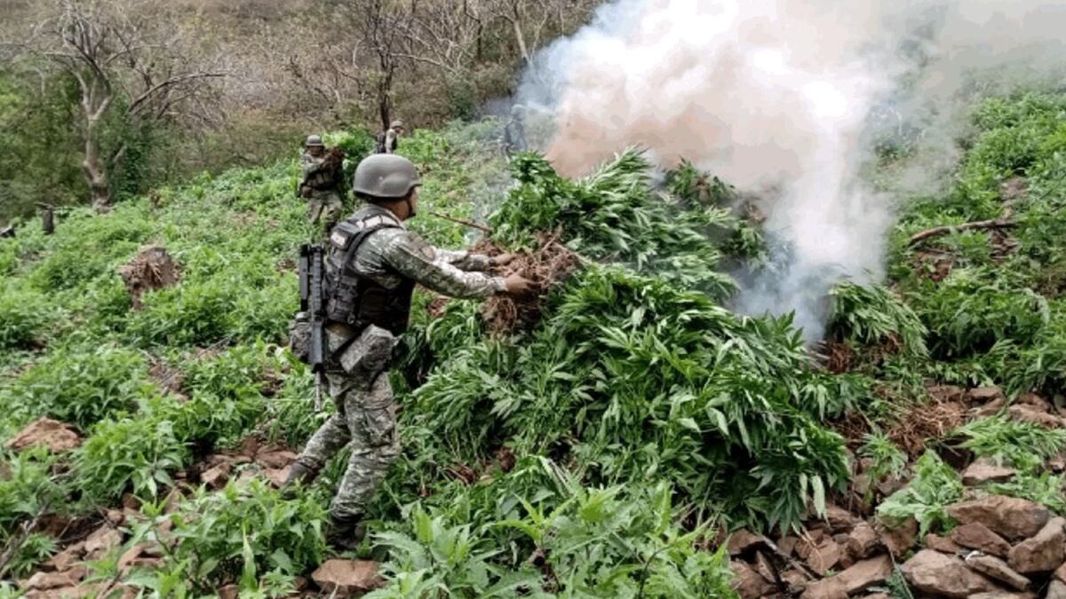 Gabinete de Seguridad