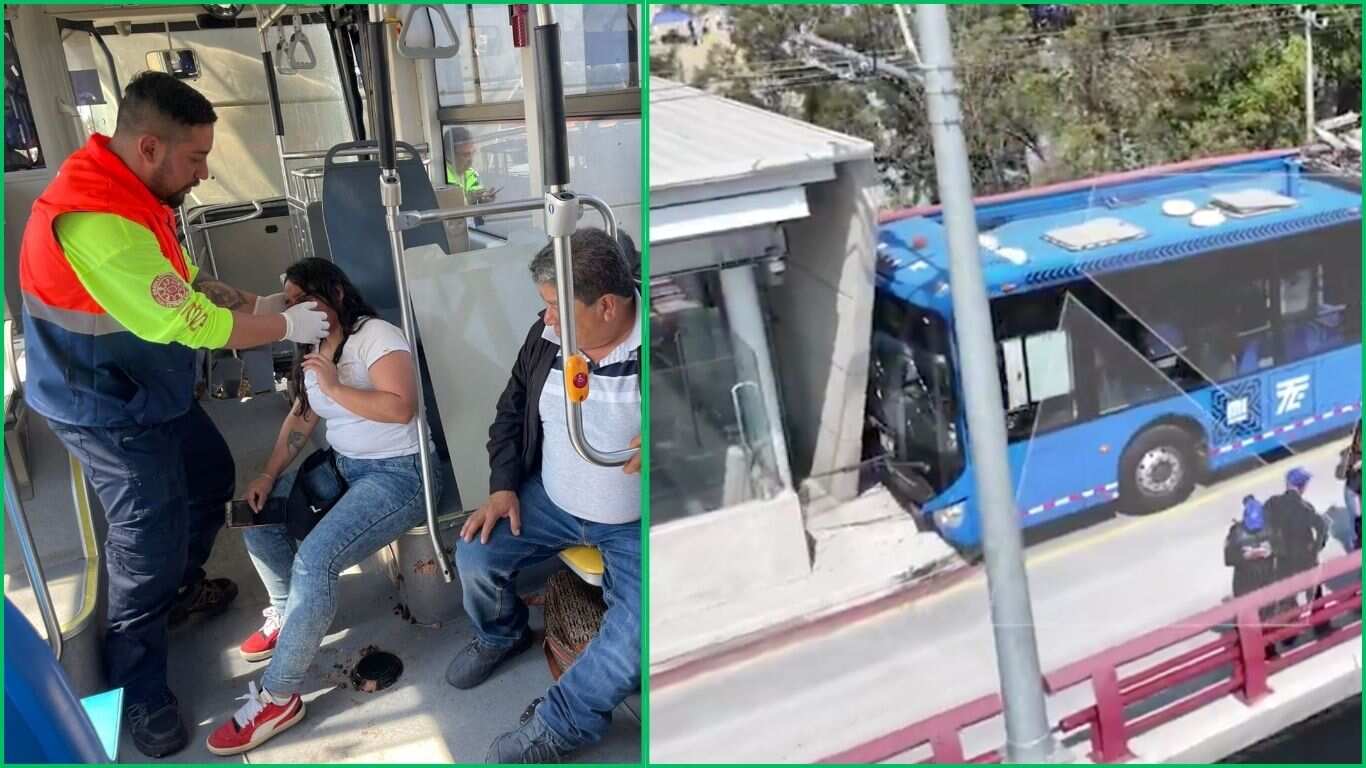 Trolebús elevado de la Línea 10