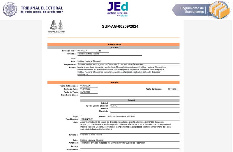 TEPJF suspensión reforma judicial