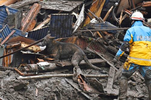 La policía de Japón utiliza perros de búsqueda tras el deslizamiento de tierra de Atami