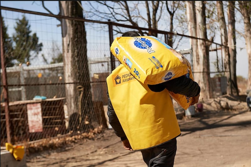 alimentación para perro
