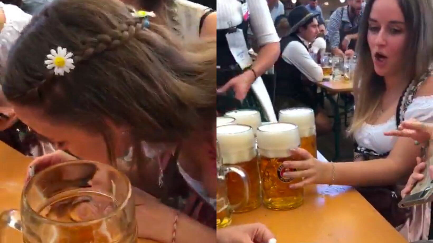 Aficionadas alemanas fueron captadas ingiriendo polvo blanco.