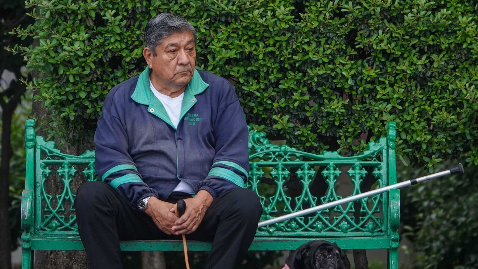 Día Mundial del Perro, un llamado a la responsabilidad