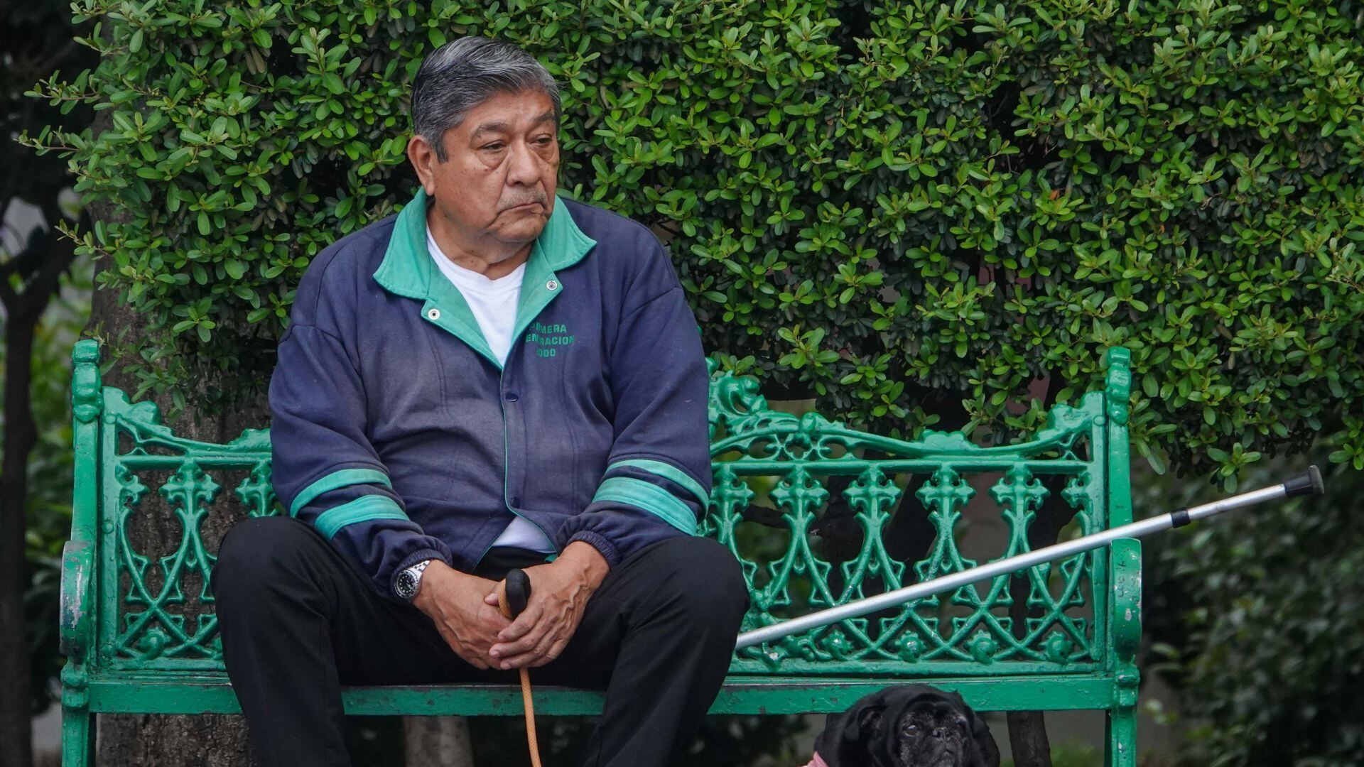 Día Mundial del Perro, un llamado a la responsabilidad