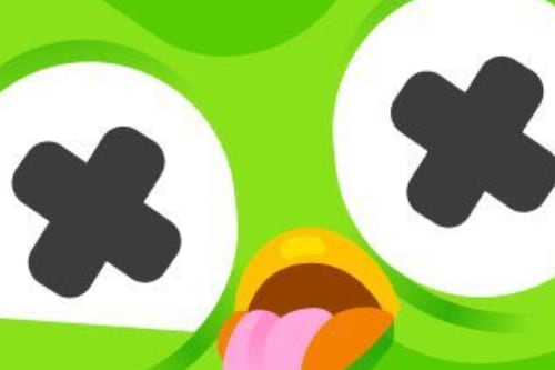 Revelan video de la trágica muerte del búho de Duolingo; buscan responsables