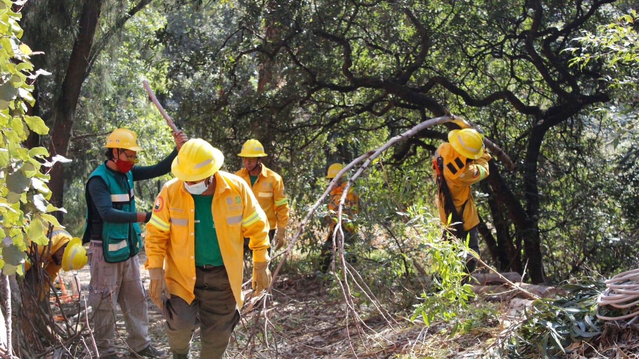 Trabajos de rehabilitación y mantenimiento en Barranca Tarango. Foto: Sedema